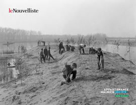 001 - Planteurs