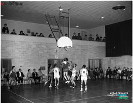 004 - Basketball