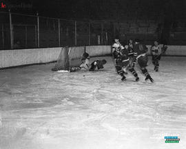 010 - Hockey
