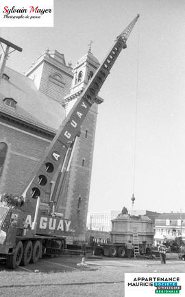 Grue en action