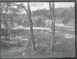 Another view of second paper-mill site.