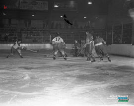 003 - Hockey