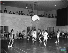 002 - Basketball