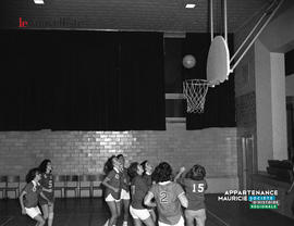 003 - Basketball