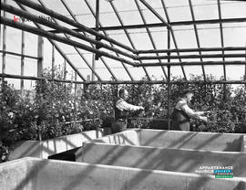 006 - Jardiniers