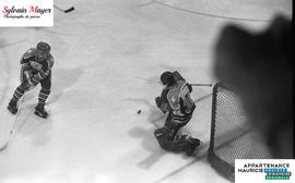 Joueurs de hockey