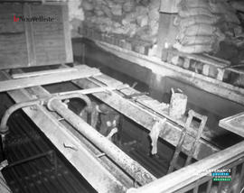 001 - Travaux de nettoyage