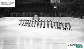 Patineuses artistiques