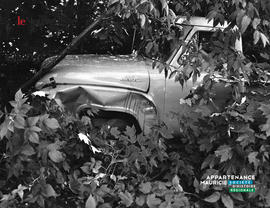 001 - Camion dans le bois