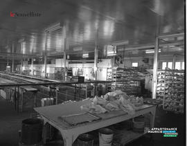 003 - Pâtisserie Moderne intérieur