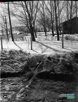 001 - Ruisseau
