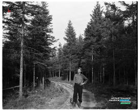 004 - Foresterie
