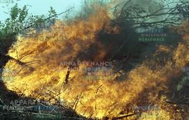 Flammes importantes
