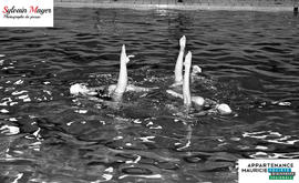 Nageuses synchronisées en action