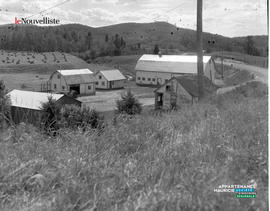 002 - Ferme Ouellet