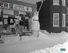 003 - Sculptures de glace