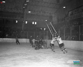 009 - Hockey