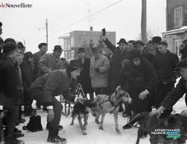 001 - Course de chiens