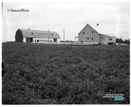 003 - Ferme