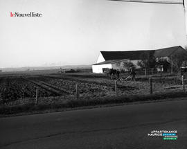 002 - Banlieue grange et champ