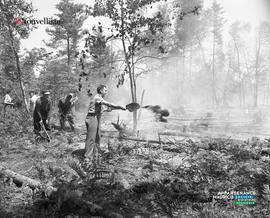 001 - Feu de forêt