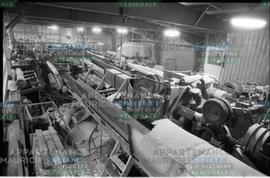 Installations de la scierie