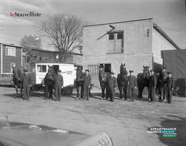001 - Chevaux crèmerie Union