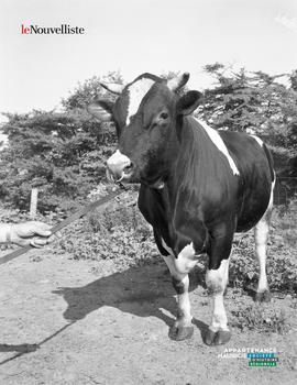 002 - La ferme des Rousseau