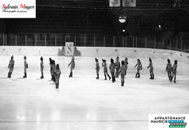 Patineuses artistiques