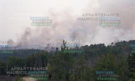 Feu de forêt