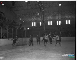 007 - Hockey