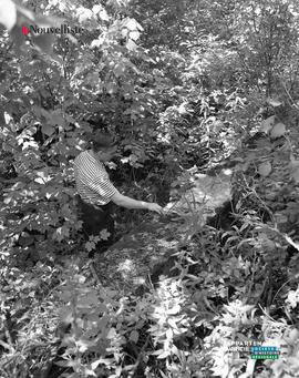 002 - Fondations anciennes