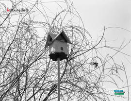 003 - Cabane à oiseaux
