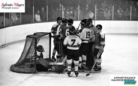 Joueurs de hockey