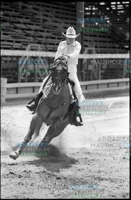 Cavalier sur un cheval