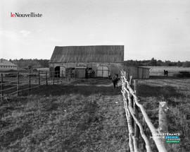 003 - Ferme