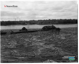 002 - Bois flottant et avion