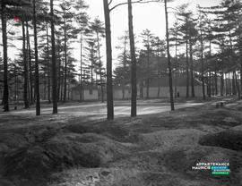 001 - Parc des Pins