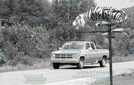Enseigne en forme de tigre
