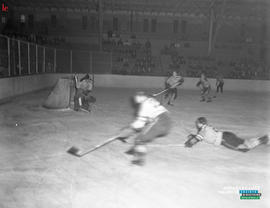 003 - Hockey