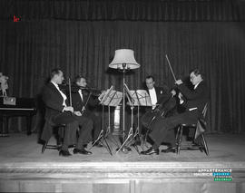 012 - Violons