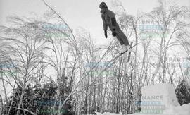 Ski acrobatique