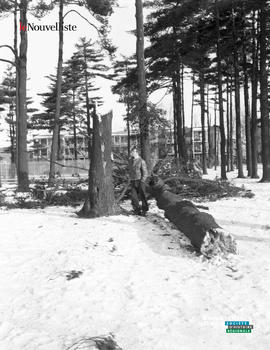 002 - Parc des Pins