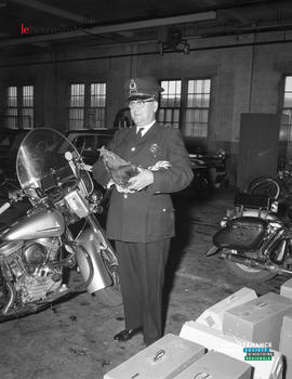 001 - Policier et coq