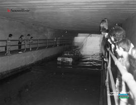 003 - Tunnel inondé