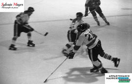 Joueurs de hockey