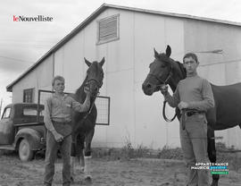 001 - Chevaux et garçons
