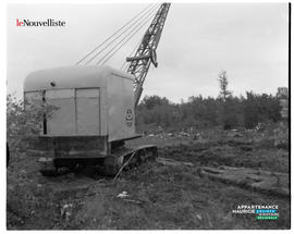 009 - Grue