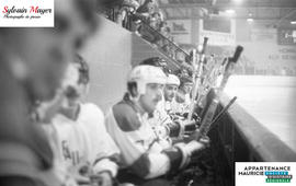 Joueurs de hockey