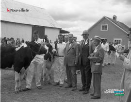 001 - Hommes et vaches